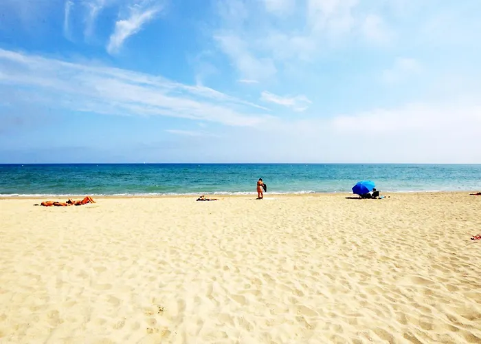 Vakantiehuis 1 Bedroom Stunning In Perpignan